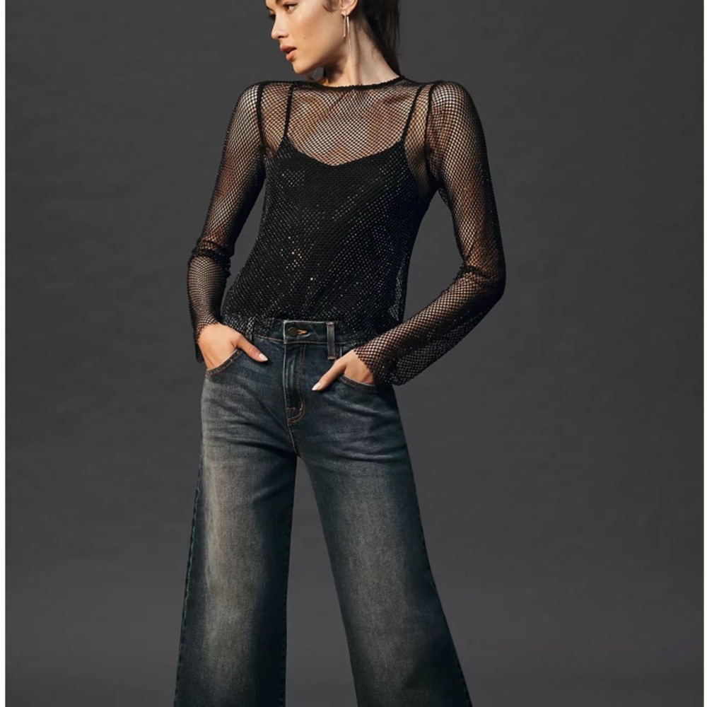 Anthropologie Mesh and Beaded long sleeve top, NWT